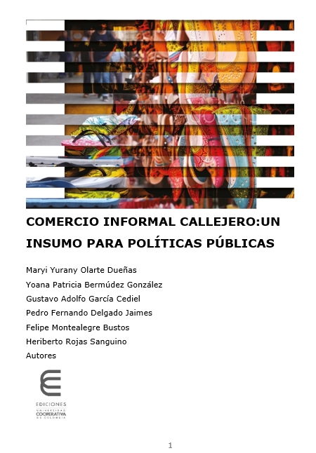 Portada Comercio informal callejero: un insumo para políticas públicas