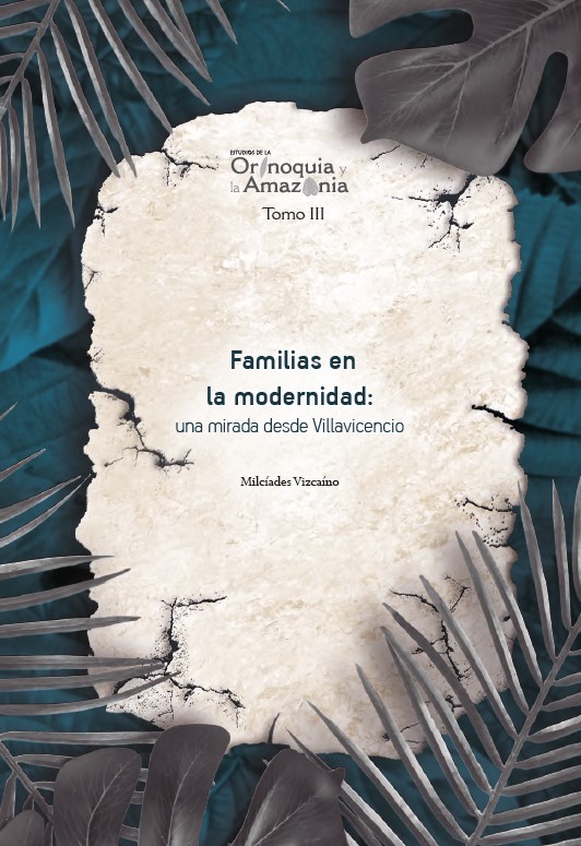 Portada Familias en la modernidad: una mirada desde Villavicencio