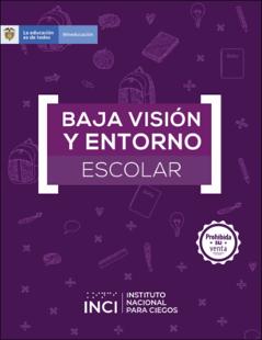 Portada Baja visión y entorno escolar