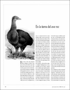 Portada En la tierra del ave roc