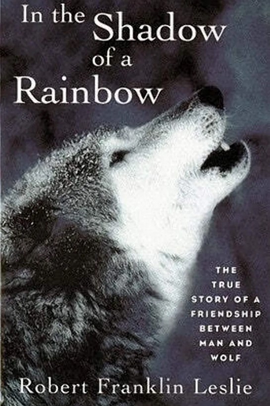 Portada A la sombra del arco iris