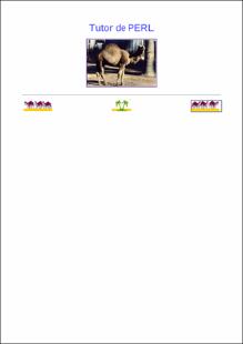 Portada Tutor de PERL